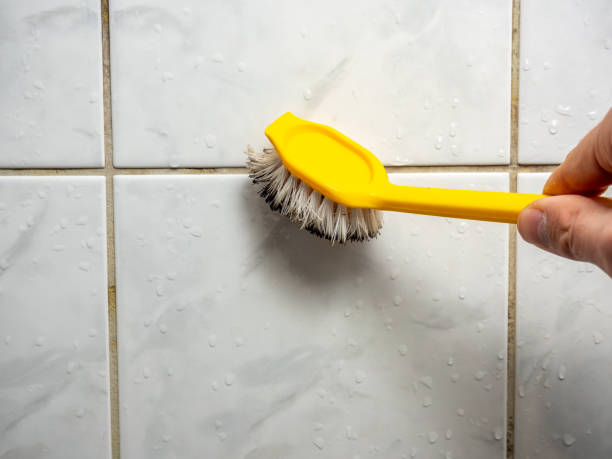 Best Black Mold Remediation in Bicknell, IN