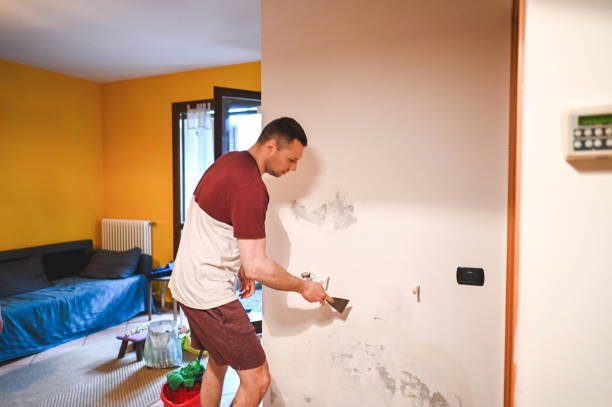 Best Commercial Mold Remediation in Bicknell, IN